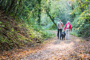 Being Outdoors Is Good For You