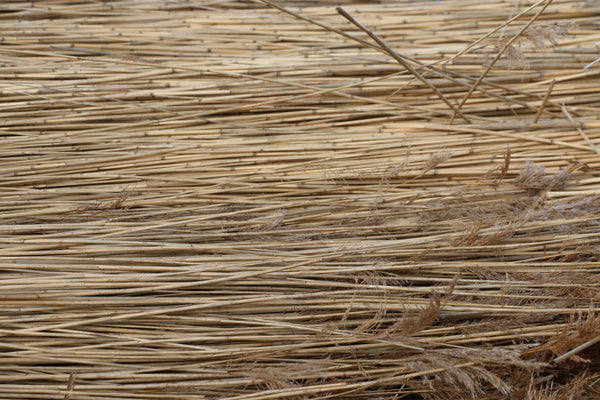 Sutu Natural Reed Drinking Straws - 10x 20cm plus Cleaning Brush